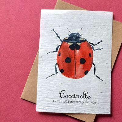 Ladybug plantable card