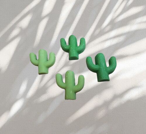 Fondant cactus parfum bubblegum