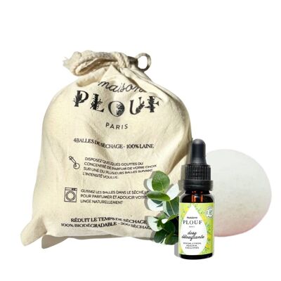 Kit palline asciuga + 1 profumo tessile purificante