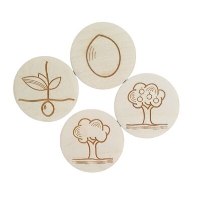 Life cycle disc set "APPELBOOM"