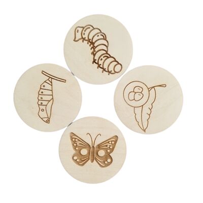 Life Cycle Disc Set "BUTTERFLY"