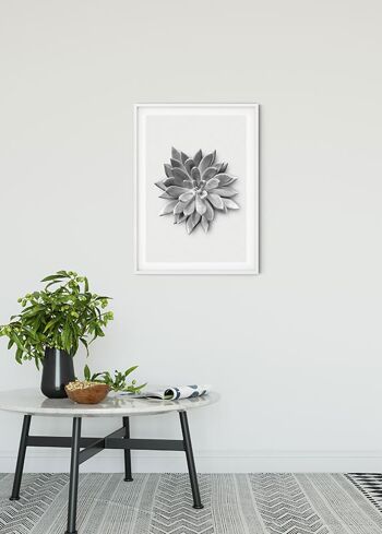 Papier Peint - Agave Succulente - Dimensions : 40 x 50 cm 2