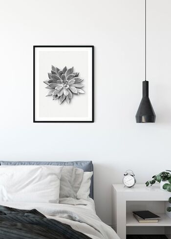 Papier Peint - Agave Succulente - Dimensions : 40 x 50 cm 3