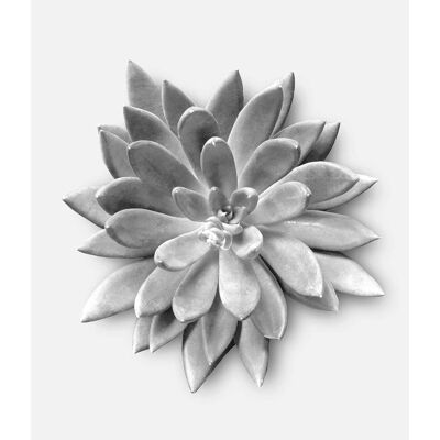 Mural - Succulent Agave - Size: 50 x 70 cm