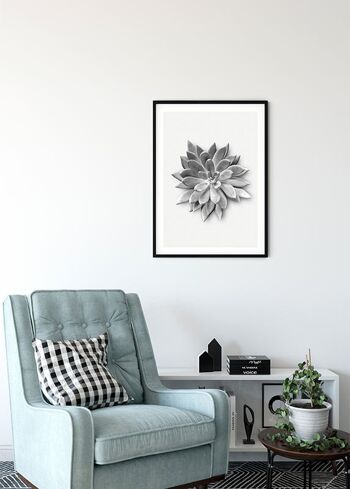 Papier Peint - Agave Succulente - Dimensions : 50 x 70 cm 4