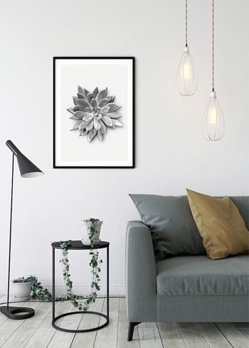 Papier Peint - Agave Succulente - Dimensions : 50 x 70 cm 5