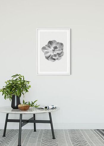Murale - Succulente Aeonium - Dimensions : 30 x 40 cm 2