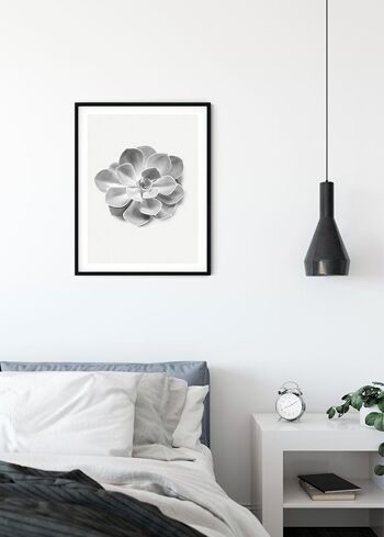 Murale - Succulente Aeonium - Dimensions : 30 x 40 cm 3