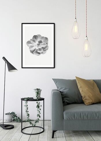 Papier Peint - Succulent Aeonium - Dimensions : 40 x 50 cm 5