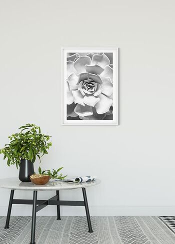 Papier Peint - Gros Plan Succulent - Format : 40 x 50 cm 2