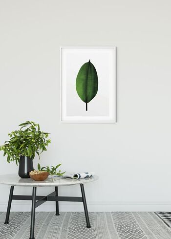 Papier Peint - Feuille de Ficus - Dimensions : 50 x 70 cm 2