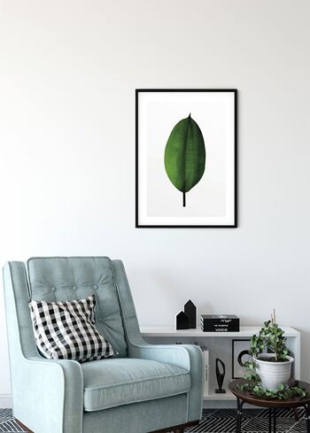 Papier Peint - Feuille de Ficus - Dimensions : 50 x 70 cm 4