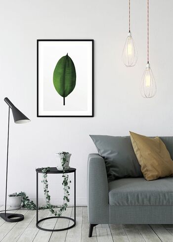 Papier Peint - Feuille de Ficus - Dimensions : 50 x 70 cm 5