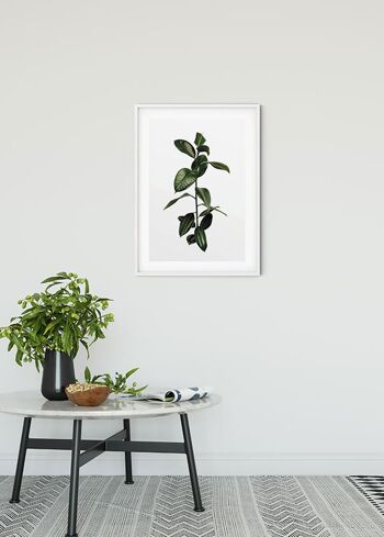 Murale - Branche de Ficus - Format : 40 x 50 cm 2