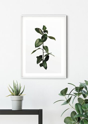 Murale - Branche de Ficus - Format : 40 x 50 cm 6