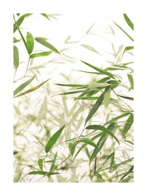 Wandbild - Bamboo Leaves - Größe: 30 x 40 cm