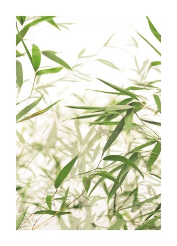 Papier Peint - Feuilles de Bambou - Dimensions : 50 x 70 cm 1