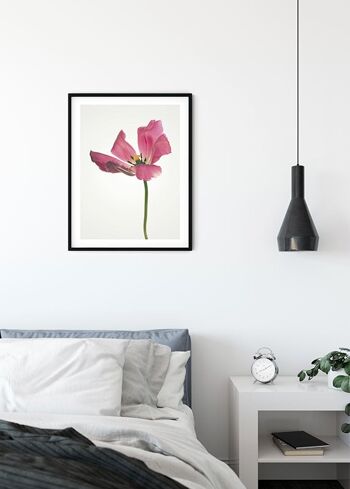 Murale - Tulipe - Format : 50 x 70 cm 3