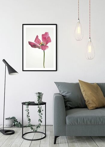 Murale - Tulipe - Format : 50 x 70 cm 5