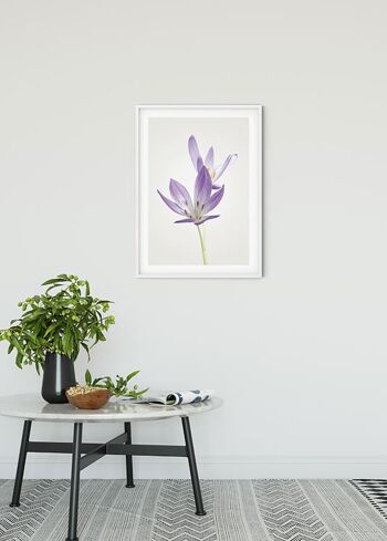 Papier peint - Crocus d'automne - Dimensions : 50 x 70 cm 2