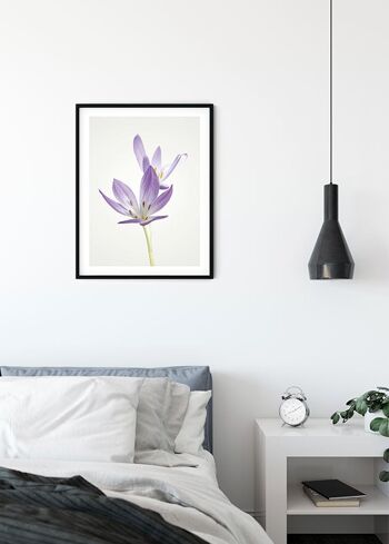 Papier peint - Crocus d'automne - Dimensions : 50 x 70 cm 3