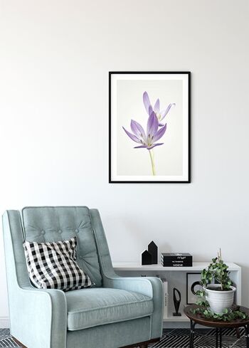 Papier peint - Crocus d'automne - Dimensions : 50 x 70 cm 4