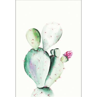 Mural - Prickly Pear Watercolor - Size: 30 x 40 cm