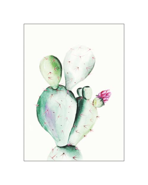 Wandbild - Prickly Pear Watercolor - Größe: 40 x 50 cm