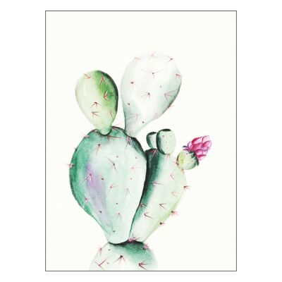 Wandbild - Prickly Pear Watercolor - Größe: 40 x 50 cm