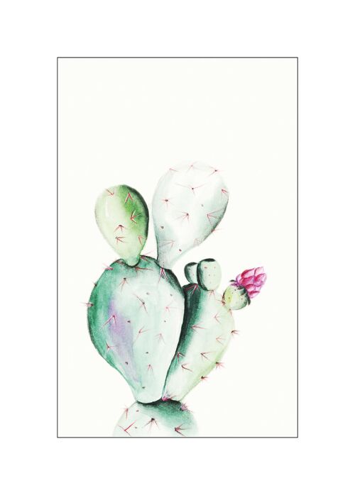 Wandbild - Prickly Pear Watercolor - Größe: 50 x 70 cm
