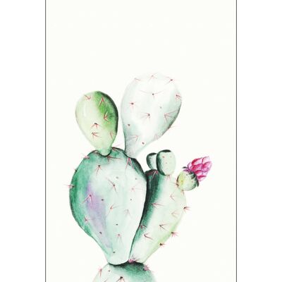 Wandbild - Prickly Pear Watercolor - Größe: 50 x 70 cm