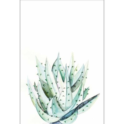 Wandbild - Aloe Watercolor - Größe: 30 x 40 cm