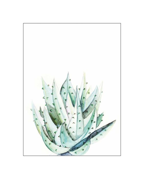 Wandbild - Aloe Watercolor - Größe: 40 x 50 cm