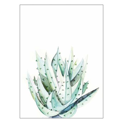 Wandbild - Aloe Watercolor - Größe: 40 x 50 cm