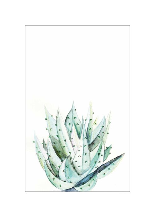 Wandbild - Aloe Watercolor - Größe: 50 x 70 cm