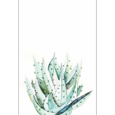 Peinture murale - Aloe Aquarelle - Format : 50 x 70 cm