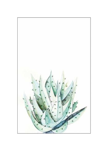 Peinture murale - Aloe Aquarelle - Format : 50 x 70 cm 1