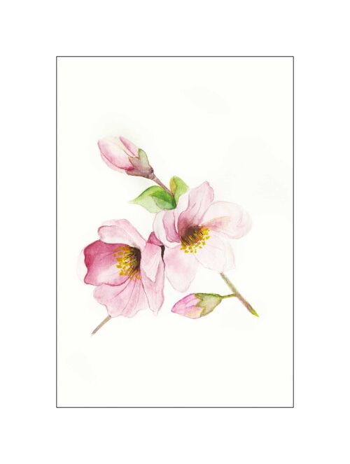 Wandbild - Magnolia Breathe - Größe: 30 x 40 cm