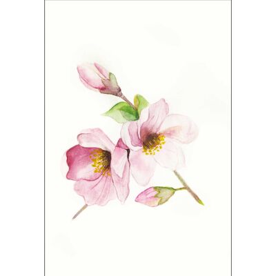 Mural - Magnolia Respira - Medidas: 30 x 40 cm