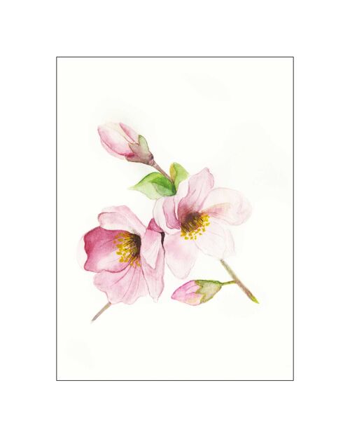 Wandbild - Magnolia Breathe - Größe: 40 x 50 cm