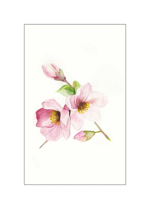 Wandbild - Magnolia Breathe - Größe: 50 x 70 cm