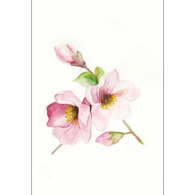 Mural - Magnolia Respira - Medida: 50 x 70 cm