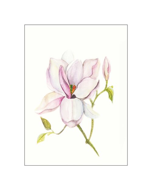 Wandbild - Magnolia Shine - Größe: 40 x 50 cm