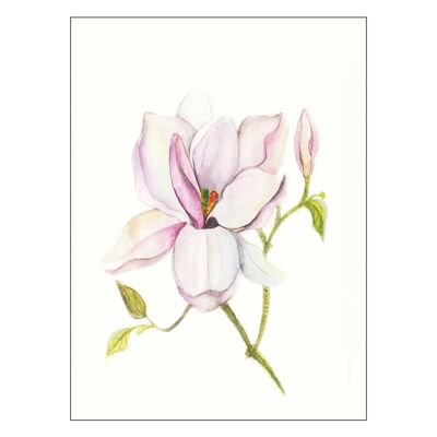Mural - Magnolia Brillo - Medida: 40 x 50 cm