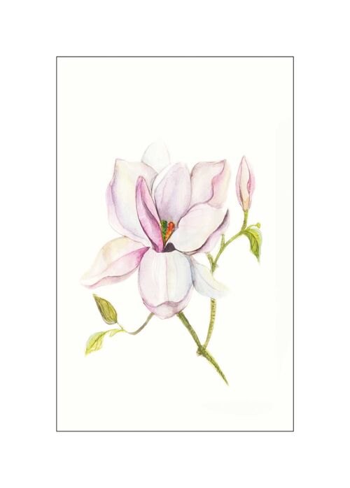 Wandbild - Magnolia Shine - Größe: 50 x 70 cm