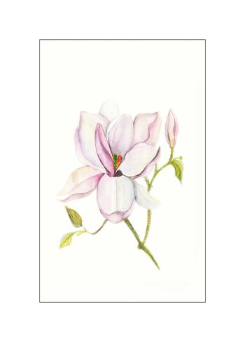 Papier peint - Magnolia Shine - Dimensions : 50 x 70 cm 1