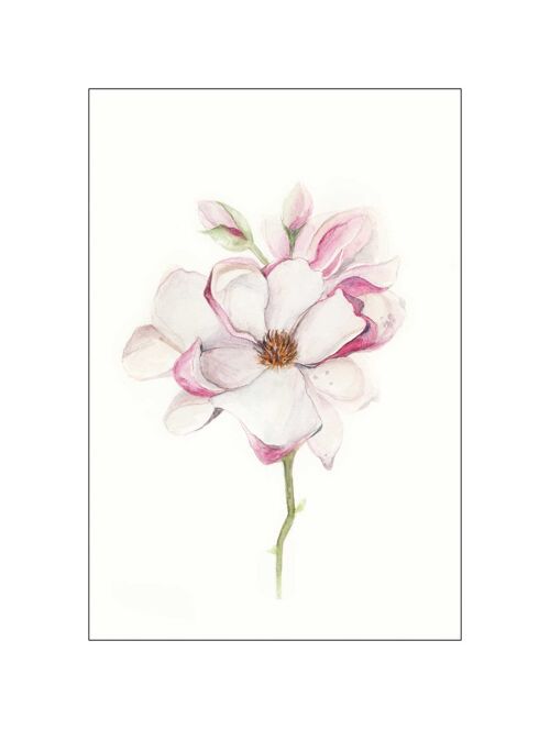 Wandbild - Magnolia Blossom - Größe: 30 x 40 cm