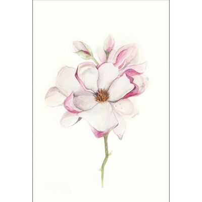 Murale - Fleur de Magnolia - Dimensions : 30 x 40 cm