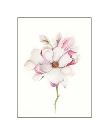 Murale - Fleur de Magnolia - Taille : 40 x 50 cm 1