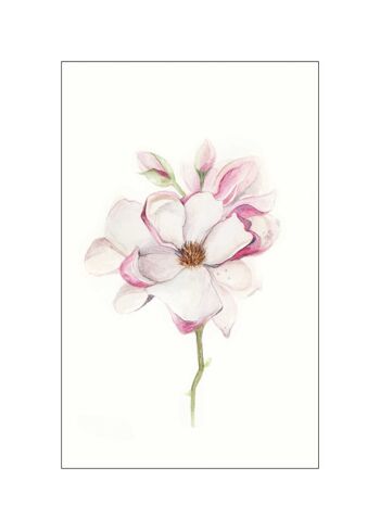 Murale - Fleur de Magnolia - Dimensions : 50 x 70 cm 1